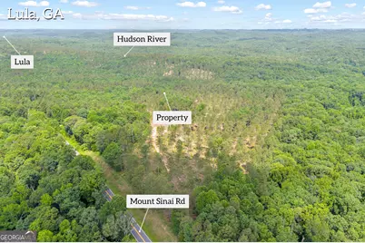 0 Mt. Sinai #LOT 3, Lula, GA 30554 - Photo 4