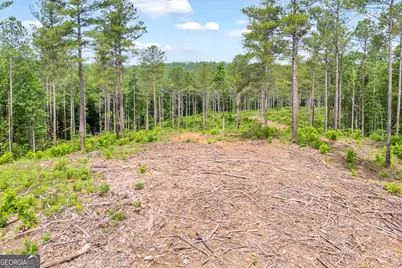 0 Mt. Sinai #LOT 3, Lula, GA 30554 - Photo 32