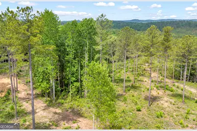 0 Mt. Sinai #LOT 3, Lula, GA 30554 - Photo 38