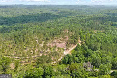 0 Mt. Sinai #LOT 3, Lula, GA 30554 - Photo 8