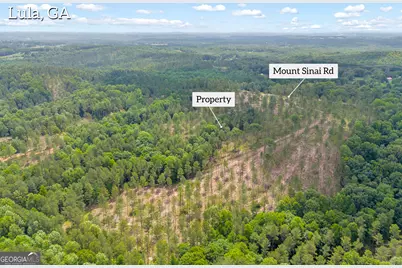 0 Mt. Sinai #LOT 3, Lula, GA 30554 - Photo 6
