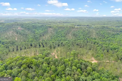 0 Mt. Sinai #LOT 3, Lula, GA 30554 - Photo 40