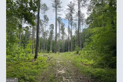 0 Mt. Sinai #LOT 3, Lula, GA 30554 - Photo 60