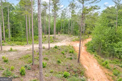 0 Mt. Sinai #LOT 3, Lula, GA 30554 - Photo 28