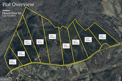 0 Mt. Sinai #LOT 3, Lula, GA 30554 - Photo 2