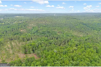 0 Mt. Sinai #LOT 3, Lula, GA 30554 - Photo 42