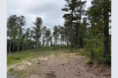 0 Mt. Sinai #LOT 3, Lula, GA 30554 - Photo 48