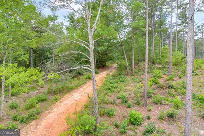 0 Mt. Sinai #LOT 3, Lula, GA 30554 - Photo 30