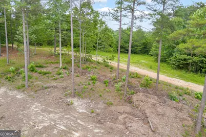 0 Mt. Sinai #LOT 3, Lula, GA 30554 - Photo 22