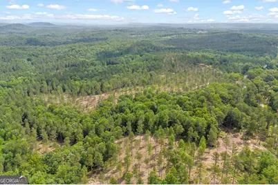 0 Mt. Sinai #LOT 3, Lula, GA 30554 - Photo 14