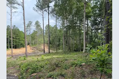 0 Mt. Sinai #LOT 3, Lula, GA 30554 - Photo 54