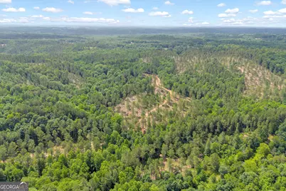 0 Mt. Sinai #LOT 4, Lula, GA 30554 - Photo 14