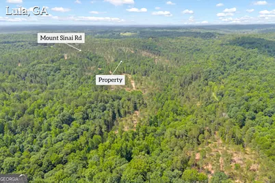 0 Mt. Sinai #LOT 4, Lula, GA 30554 - Photo 6