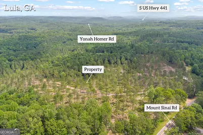 0 Mt. Sinai #LOT 4, Lula, GA 30554 - Photo 4