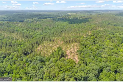 0 Mt. Sinai #LOT 4, Lula, GA 30554 - Photo 12