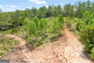 0 Mt. Sinai #LOT 4, Lula, GA 30554 - Photo 32