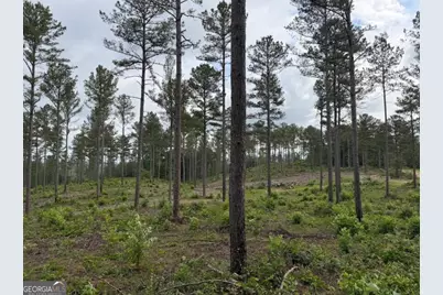 0 Mt. Sinai #LOT 4, Lula, GA 30554 - Photo 42
