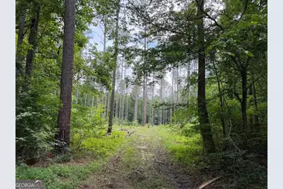 0 Mt. Sinai #LOT 4, Lula, GA 30554 - Photo 54