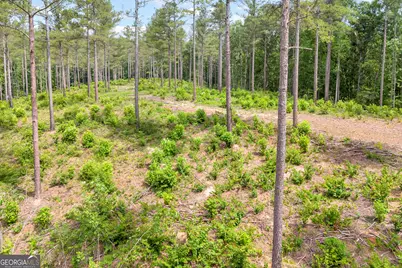 0 Mt. Sinai #LOT 4, Lula, GA 30554 - Photo 30