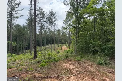 0 Mt. Sinai #LOT 4, Lula, GA 30554 - Photo 46