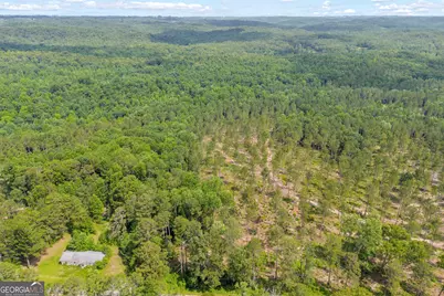 0 Mt. Sinai #LOT 4, Lula, GA 30554 - Photo 10