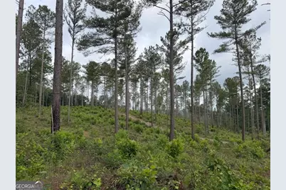 0 Mt. Sinai #LOT 4, Lula, GA 30554 - Photo 40