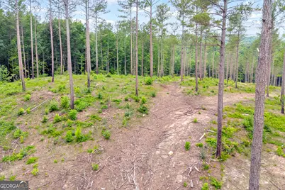 0 Mt. Sinai #LOT 4, Lula, GA 30554 - Photo 26