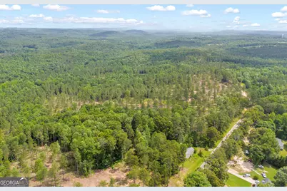 0 Mt. Sinai #LOT 4, Lula, GA 30554 - Photo 16