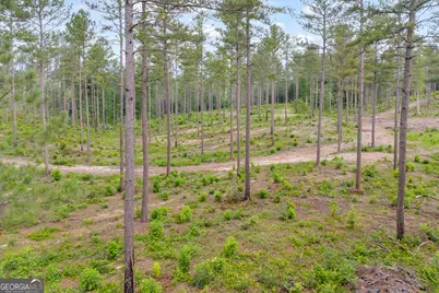 0 Mt. Sinai #LOT 4, Lula, GA 30554 - Photo 8