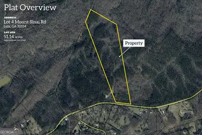0 Mt. Sinai #LOT 4, Lula, GA 30554 - Photo 1