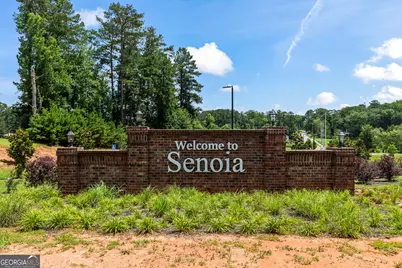 60 Rocky Bay Lane, Senoia, GA 30276 - Photo 52