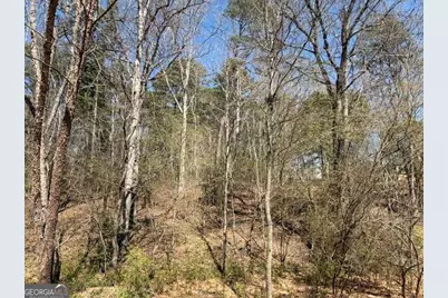 0 Jack Pittman Road, Dacula, GA 30019 - Photo 2