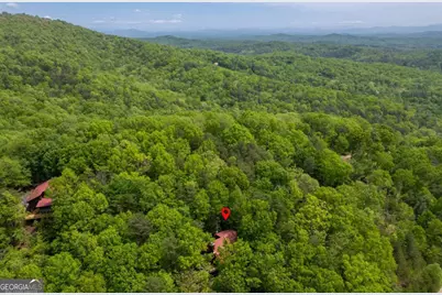 305 Martin Crossing, Cherry Log, GA 30522 - Photo 36