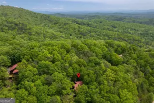 305 Martin Crossing, Cherry Log, GA 30522 - Photo 36