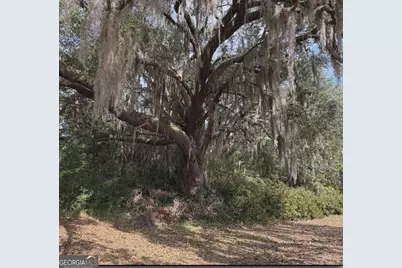 11817 Ga Highway 99, Darien, GA 31305 - Photo 14