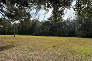 11817 Ga Hwy 99, Darien, GA 31305 - Photo 38