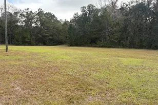 11817 Ga Hwy 99, Darien, GA 31305 - Photo 40