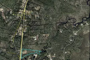 11817 Ga Hwy 99, Darien, GA 31305 - Photo 12