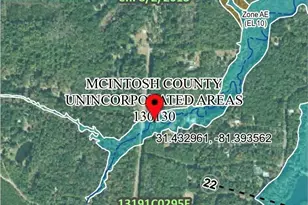 11817 Ga Hwy 99, Darien, GA 31305 - Photo 44