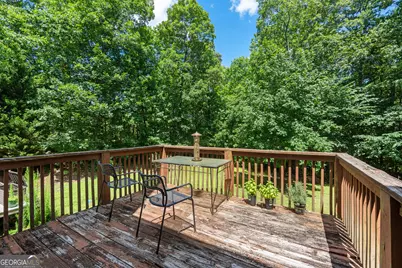 893 Hines Road, Moreland, GA 30259 - Photo 52