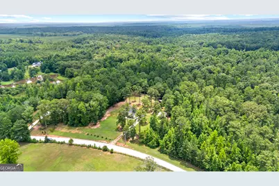 1041 Dunlap Road, Luthersville, GA 30251 - Photo 36