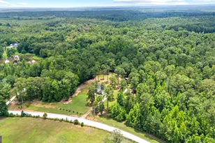 1041 Dunlap Rd, Luthersville, GA 30251 - Photo 36