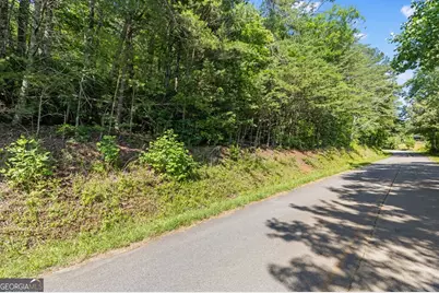 2 Ac Ritchie Creek Road, Blue Ridge, GA 30513 - Photo 4