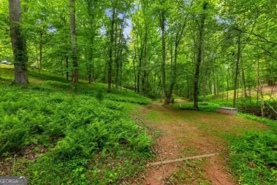 665 Shady Lane, Mineral Bluff, GA 30559 - Photo 36
