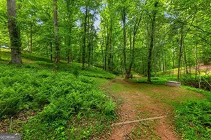 665 Shady Ln, Mineral Bluff, GA 30559 - Photo 36