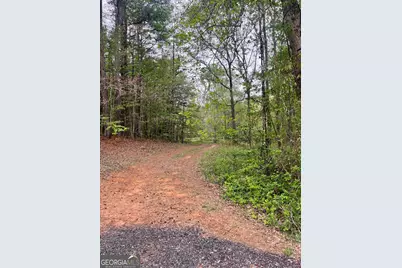555 Highway 3 N, Hampton, GA 30228 - Photo 16