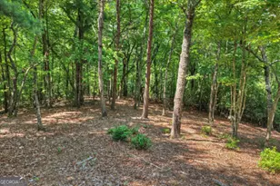 46 Sequoya Trail, Blairsville, GA 30512 - Photo 32
