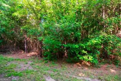 0 County Road 0071, Waverly Hall, GA 31831 - Photo 10