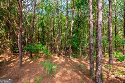 0 County Road 0071, Waverly Hall, GA 31831 - Photo 8