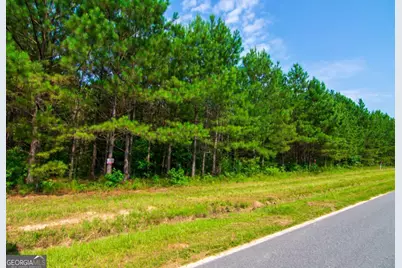 0 County Road 0071, Waverly Hall, GA 31831 - Photo 2